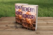 Kemény Zsófi és Kondor Vilmos: Értetek teszem