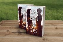 Vincze Ágnes: Kárrendezés