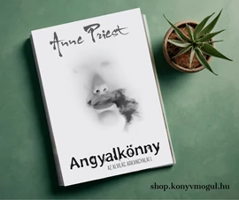 Angyalkönny - Az alvilág arkangyalai 1.