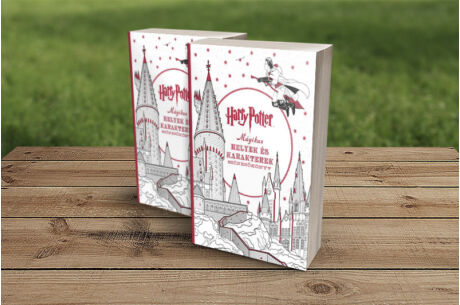 Harry Potter: Mágikus helyek és karakterek - színezőkönyv