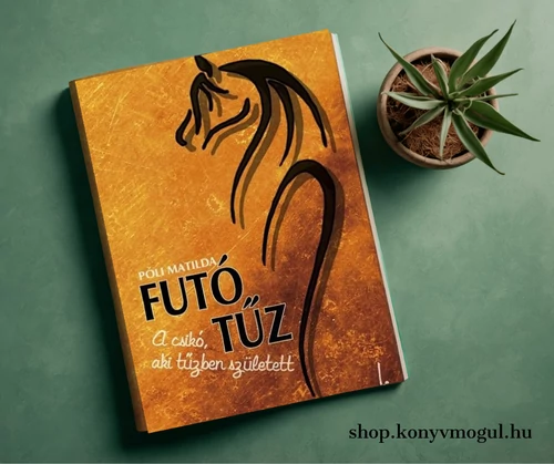 Póli Matilda: Futó tűz